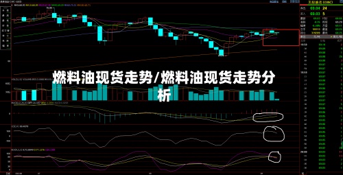 燃料油现货走势/燃料油现货走势分析