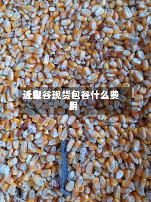 近来
【包谷现货包谷什么费用
】-第2张图片