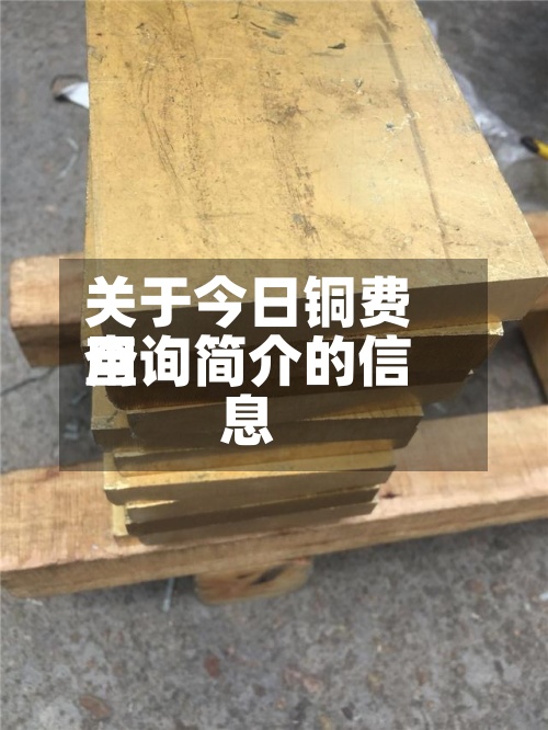 关于今日铜费用
查询简介的信息