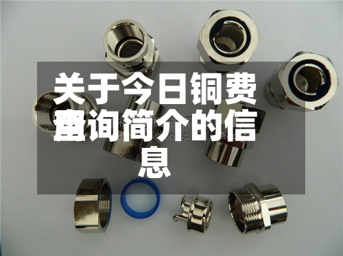 关于今日铜费用
查询简介的信息-第2张图片