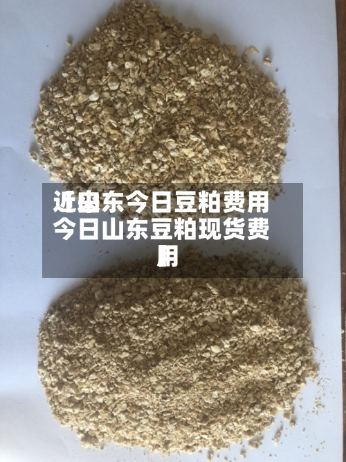 近来
【山东今日豆粕费用
今日山东豆粕现货费用
】-第2张图片