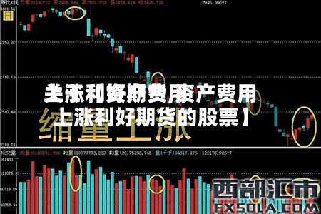 关于【资产费用
上涨利好期货,资产费用
上涨利好期货的股票】-第2张图片