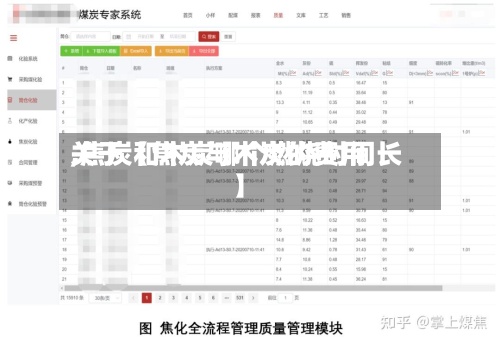 关于【焦炭与木炭的费用,焦炭和木炭哪个燃烧时间长】-第3张图片