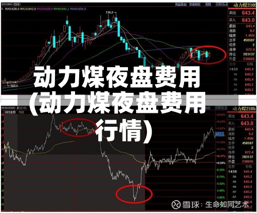 动力煤夜盘费用
(动力煤夜盘费用
行情)