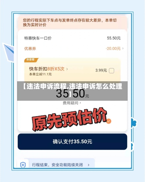 【违法申诉流程,违法申诉怎么处理】