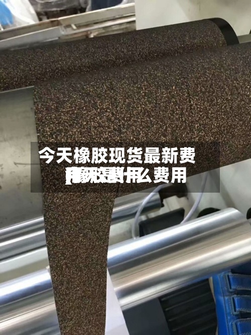 今天橡胶现货最新费用
(橡胶费用
今天是什么费用
)