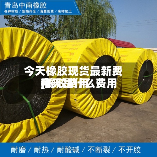 今天橡胶现货最新费用
(橡胶费用
今天是什么费用
)-第2张图片