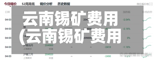 云南锡矿费用
(云南锡矿费用
今日锡价)-第3张图片