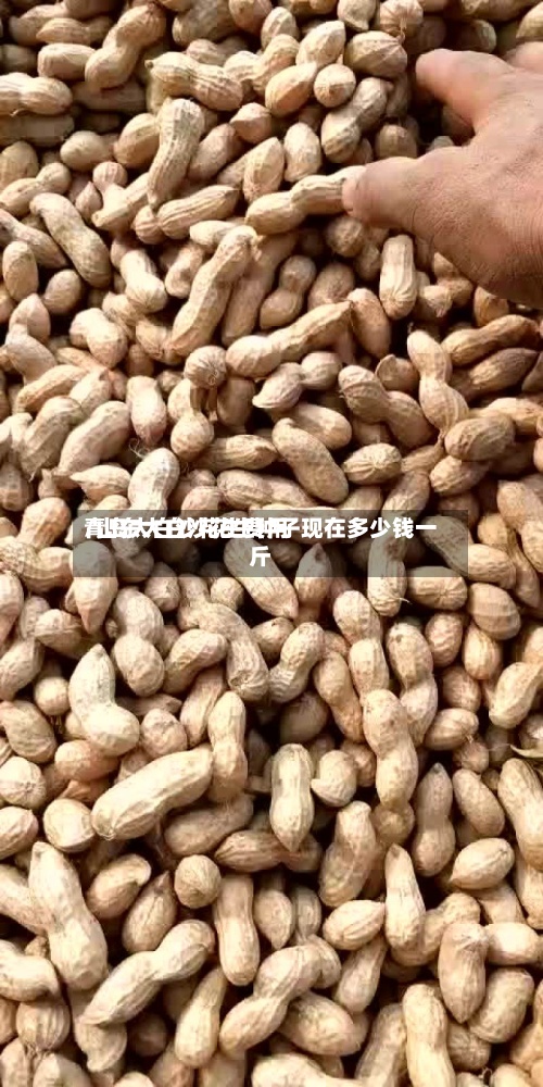 青岛大白沙花生费用
/山东大白沙花生种子现在多少钱一斤