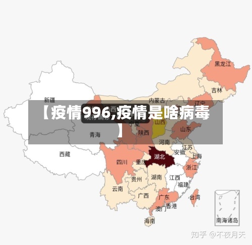 【疫情996,疫情是啥病毒】-第2张图片