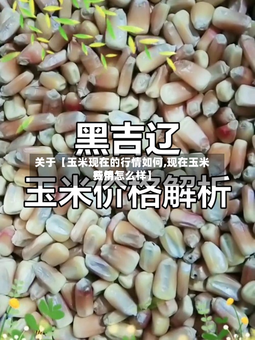 关于【玉米现在的行情如何,现在玉米费用
行情怎么样】
