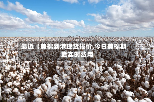 最近【美棉到港现货报价,今日美棉期货实时费用
】-第3张图片