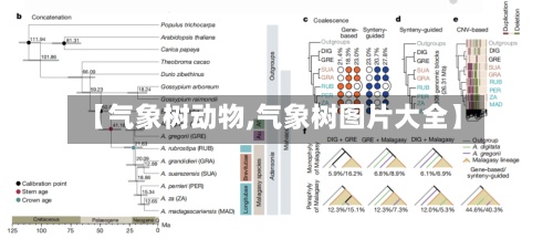 【气象树动物,气象树图片大全】-第2张图片