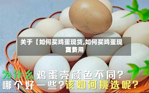 关于【如何买鸡蛋现货,如何买鸡蛋现货费用
高】
