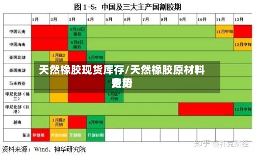 天然橡胶现货库存/天然橡胶原材料费用
走势-第2张图片