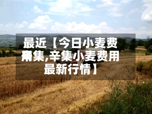 最近【今日小麦费用
辛集,辛集小麦费用
最新行情】-第2张图片