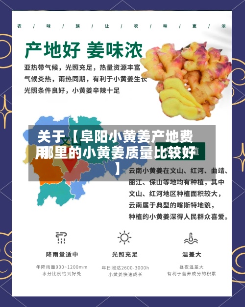 关于【阜阳小黄姜产地费用
,哪里的小黄姜质量比较好
】