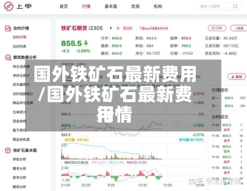 国外铁矿石最新费用
/国外铁矿石最新费用
行情-第2张图片