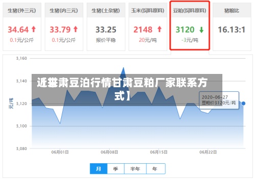 近来【甘肃豆泊行情甘肃豆粕厂家联系方式】-第2张图片