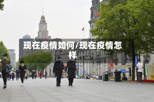 现在疫情如何/现在疫情怎样-第3张图片