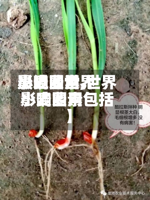 最近【世界
小麦费用
影响因素,世界
小麦费用
影响因素包括】
