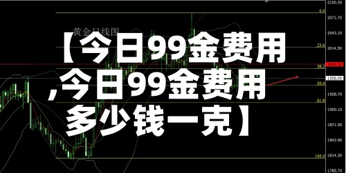 【今日99金费用
,今日99金费用
多少钱一克】