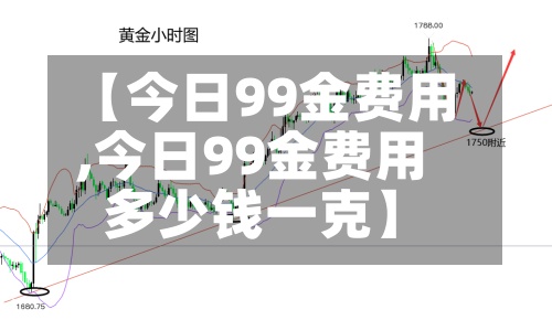 【今日99金费用,今日99金费用多少钱一克】-第2张图片