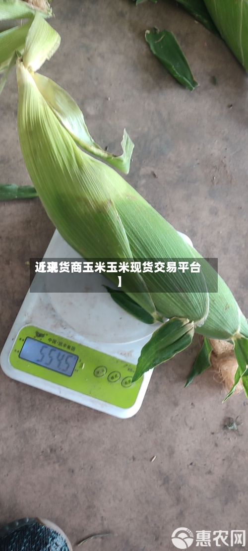 近来【现货商玉米玉米现货交易平台】