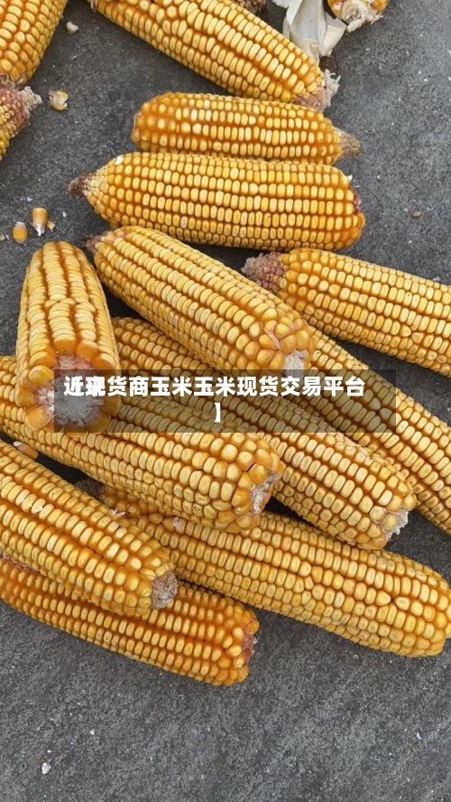 近来【现货商玉米玉米现货交易平台】-第3张图片