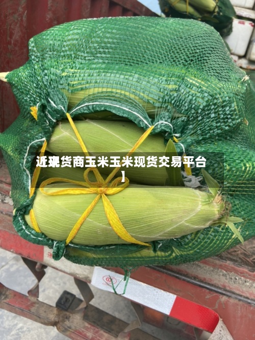 近来【现货商玉米玉米现货交易平台】-第2张图片