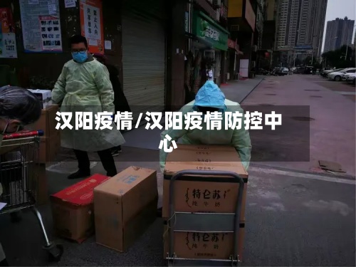 汉阳疫情/汉阳疫情防控中心-第2张图片