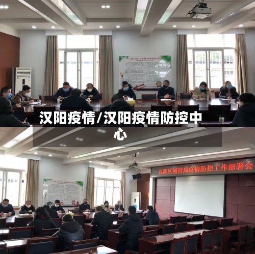 汉阳疫情/汉阳疫情防控中心