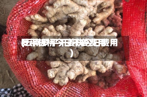 罗平板桥今日干姜费用
(云南罗平干姜块今日费用
)