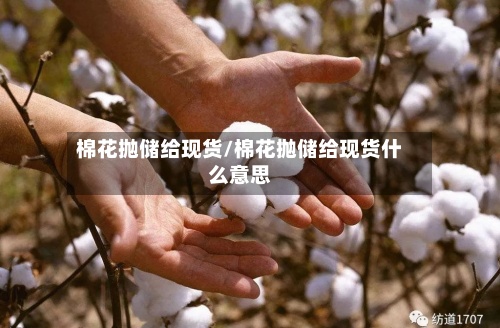 棉花抛储给现货/棉花抛储给现货什么意思
