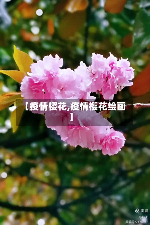 【疫情樱花,疫情樱花绘画】