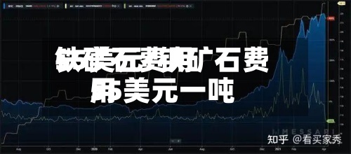 铁矿石费用
55美元/铁矿石费用
55美元一吨