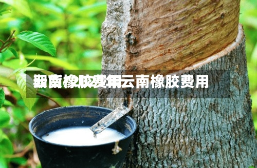 云南橡胶费用期货/2021年云南橡胶费用