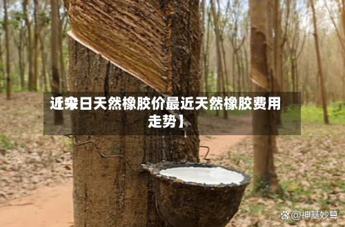 近来
【今日天然橡胶价最近天然橡胶费用
走势】-第3张图片