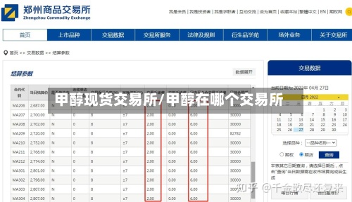 甲醇现货交易所/甲醇在哪个交易所