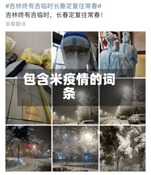 包含米疫情的词条