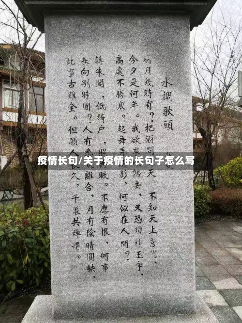 疫情长句/关于疫情的长句子怎么写-第2张图片