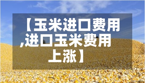 【玉米进口费用
,进口玉米费用
上涨】-第2张图片