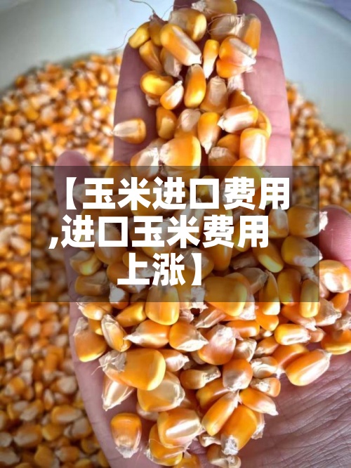 【玉米进口费用
,进口玉米费用
上涨】