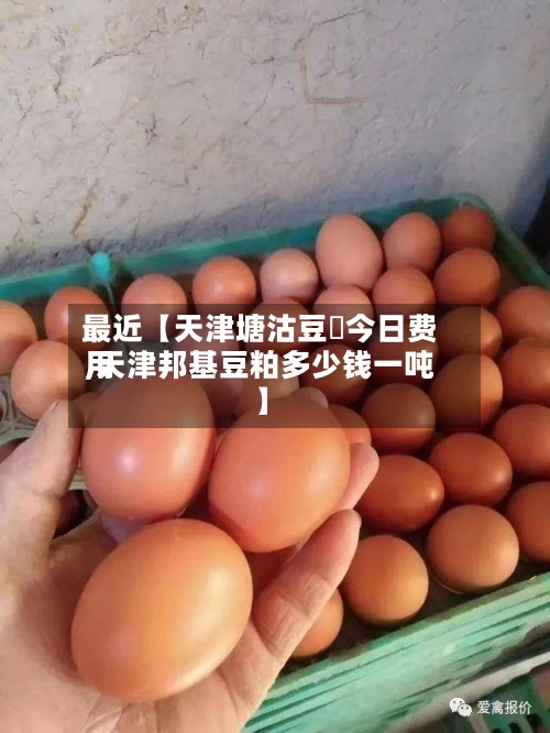 最近【天津塘沽豆粨今日费用
,天津邦基豆粕多少钱一吨】