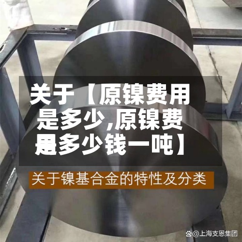 关于【原镍费用
是多少,原镍费用
是多少钱一吨】-第2张图片