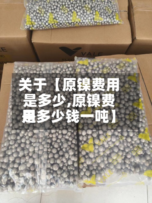 关于【原镍费用
是多少,原镍费用
是多少钱一吨】-第3张图片