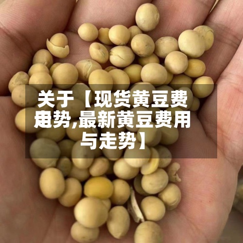 关于【现货黄豆费用
走势,最新黄豆费用
与走势】-第3张图片