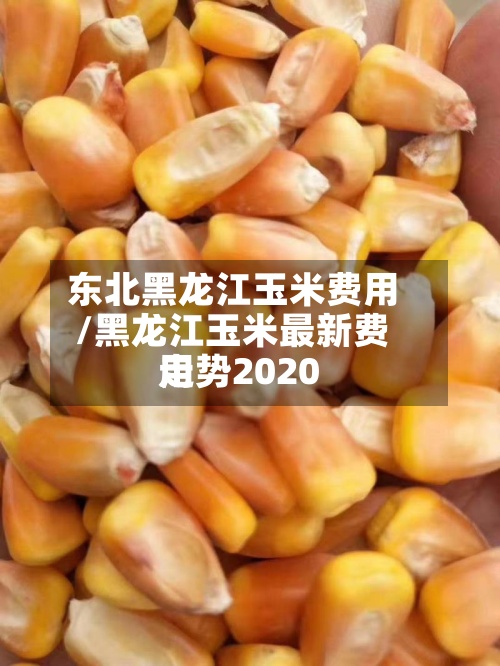 东北黑龙江玉米费用
/黑龙江玉米最新费用
走势2020-第2张图片