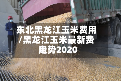东北黑龙江玉米费用/黑龙江玉米最新费用走势2020