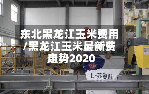 东北黑龙江玉米费用
/黑龙江玉米最新费用
走势2020-第3张图片